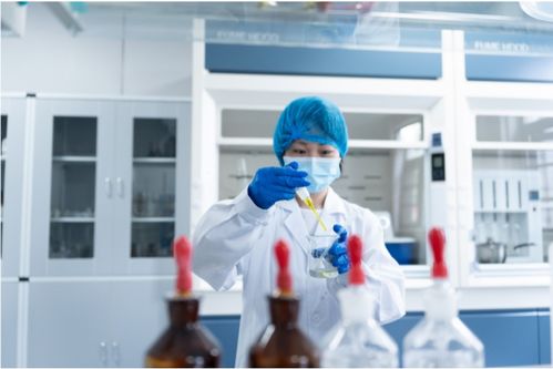 全產業鏈鑄就卓越品質，一站式服務賦能共贏未來——康西爺食品的技術服務之道