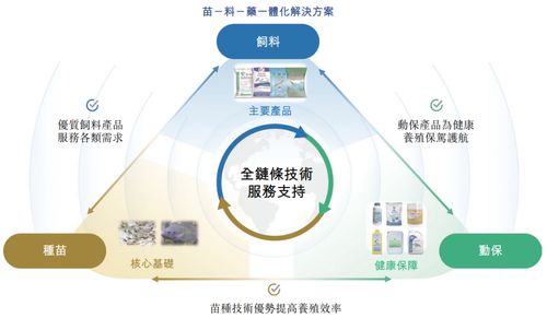 海大國際遞表港交所 分拆自海大集團，2024年凈利潤強勢翻倍